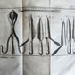 1770 MEDICAL TREATISE ILLUSTRATED ANATOMY by Francois PLANQUE antique V. 10
