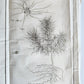 1770 MEDICAL TREATISE ILLUSTRATED ANATOMY by Francois PLANQUE antique V. 10