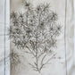 1770 MEDICAL TREATISE ILLUSTRATED ANATOMY by Francois PLANQUE antique V. 10