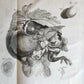 1766 MEDICAL TREATISE ILLUSTRATED ANATOMY by Francois PLANQUE antique V. 9