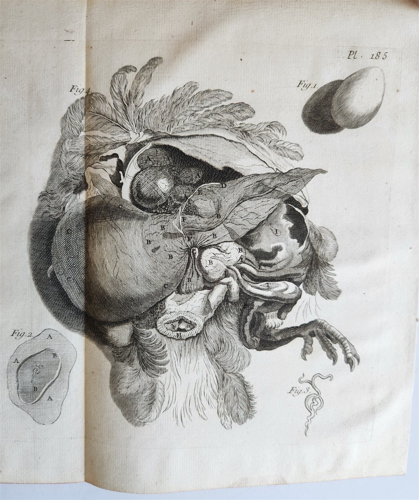 1766 MEDICAL TREATISE ILLUSTRATED ANATOMY by Francois PLANQUE antique V. 9