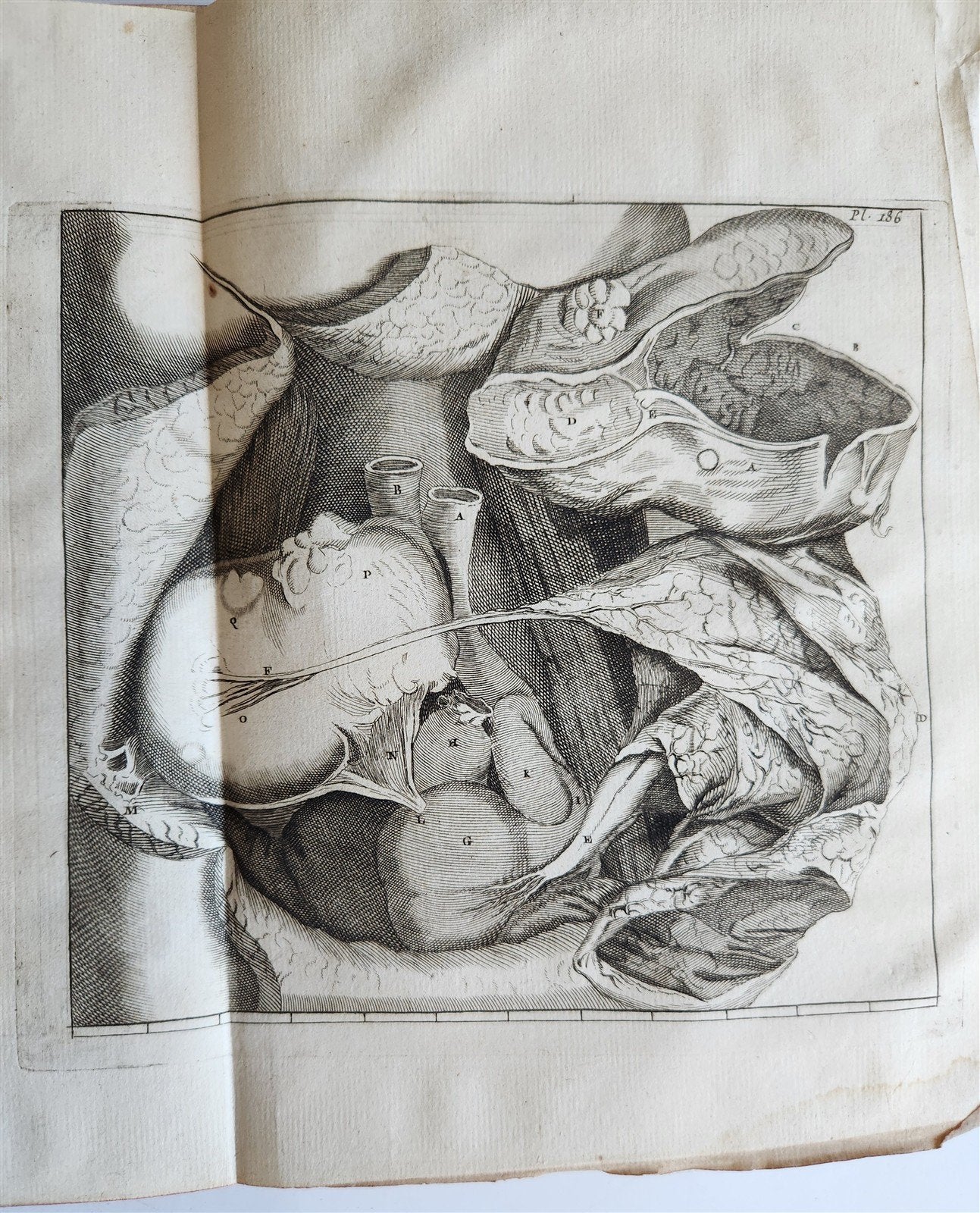 1766 MEDICAL TREATISE ILLUSTRATED ANATOMY by Francois PLANQUE antique V. 9