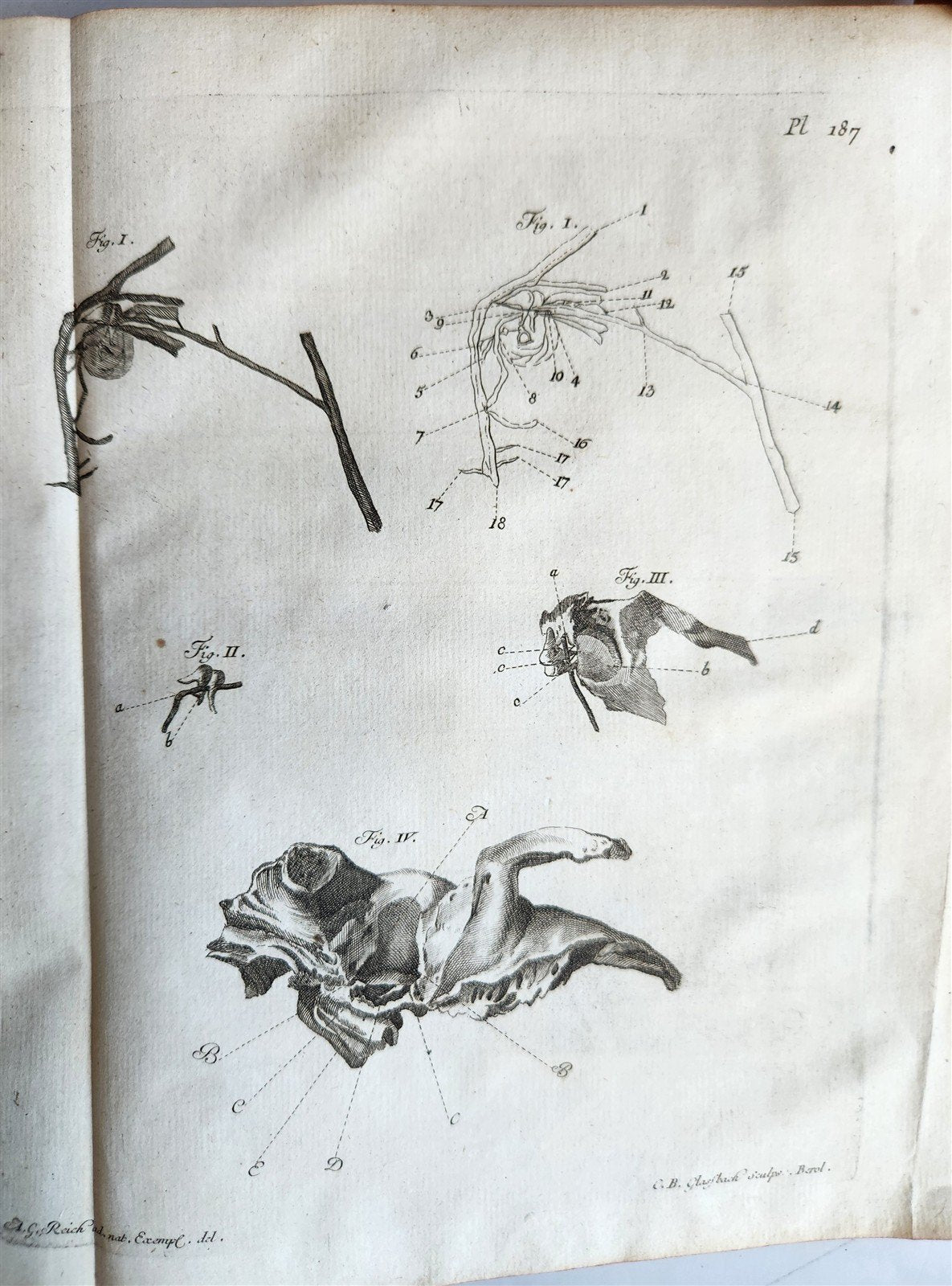 1766 MEDICAL TREATISE ILLUSTRATED ANATOMY by Francois PLANQUE antique V. 9