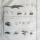 1766 MEDICAL TREATISE ILLUSTRATED ANATOMY by Francois PLANQUE antique V. 9