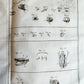 1766 MEDICAL TREATISE ILLUSTRATED ANATOMY by Francois PLANQUE antique V. 9