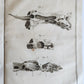 1766 MEDICAL TREATISE ILLUSTRATED ANATOMY by Francois PLANQUE antique V. 9
