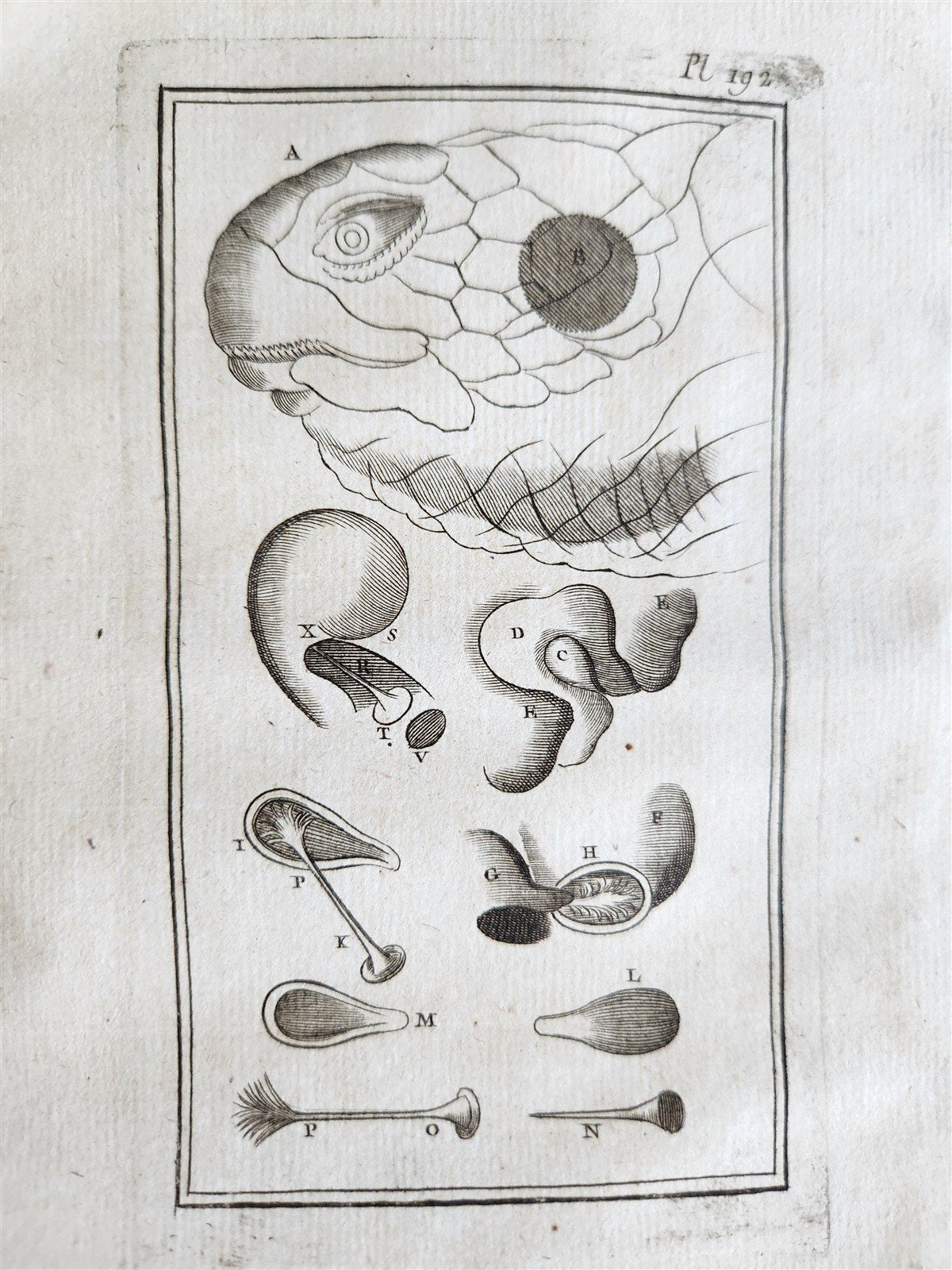 1766 MEDICAL TREATISE ILLUSTRATED ANATOMY by Francois PLANQUE antique V. 9
