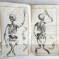 1766 MEDICAL TREATISE ILLUSTRATED ANATOMY by Francois PLANQUE antique V. 9