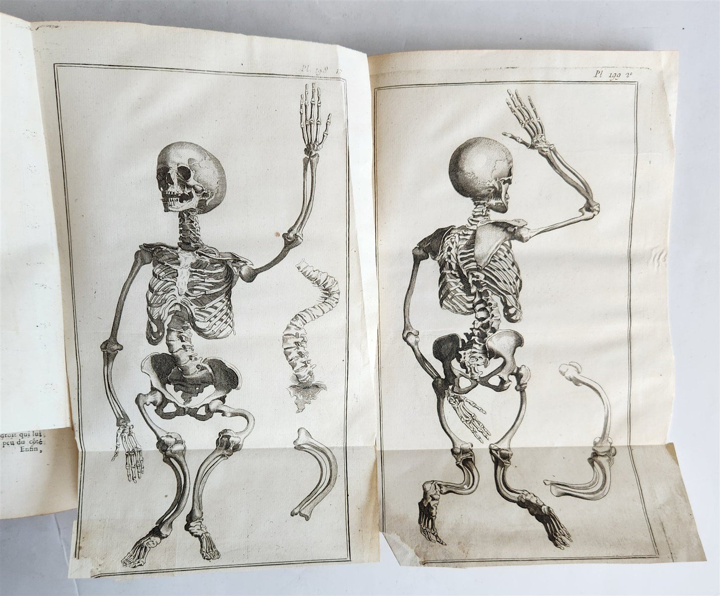 1766 MEDICAL TREATISE ILLUSTRATED ANATOMY by Francois PLANQUE antique V. 9
