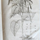 1759 MEDICAL TREATISE ILLUSTRATED ANATOMY by Francois PLANQUE antique V. 5