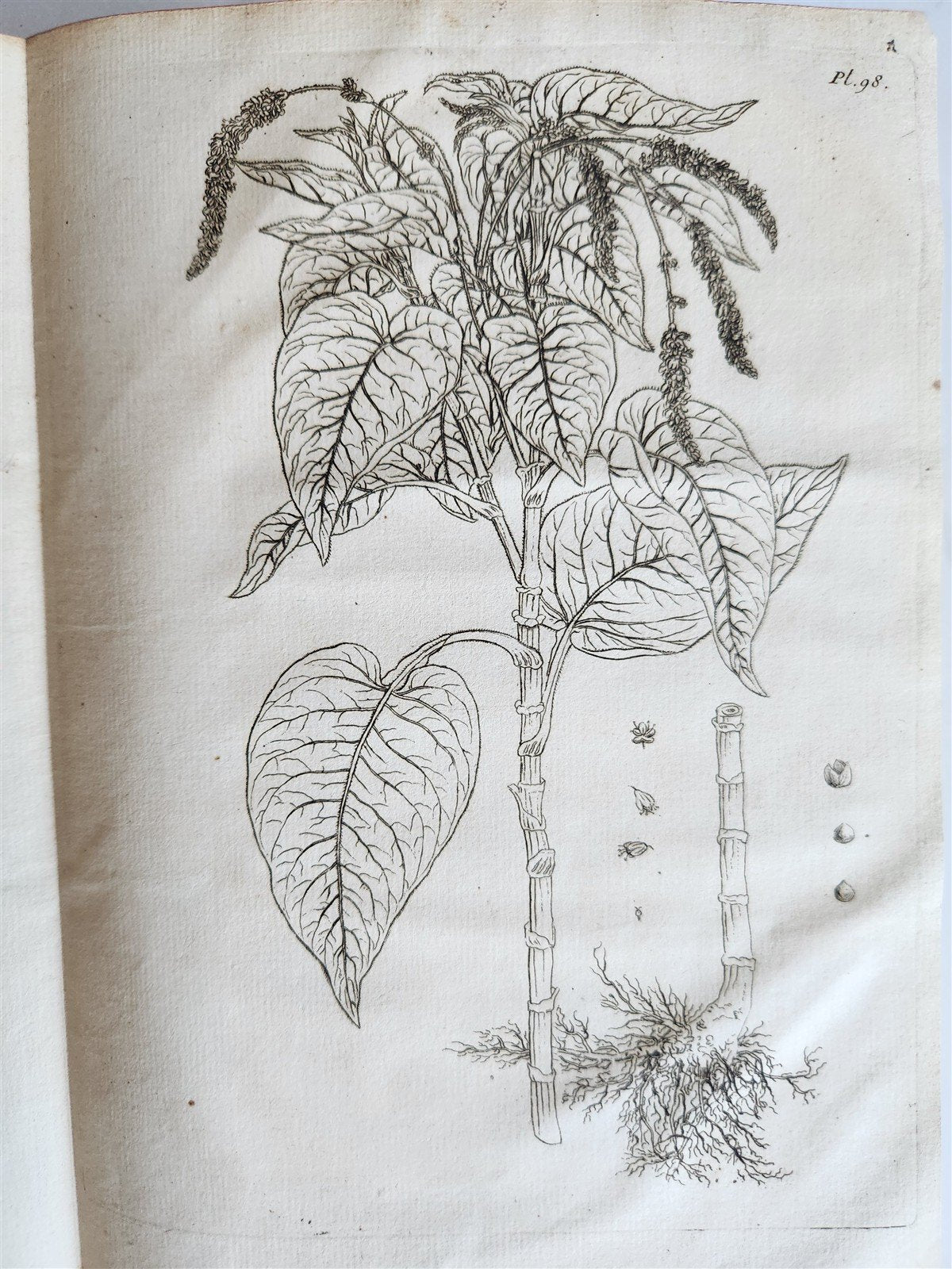 1759 MEDICAL TREATISE ILLUSTRATED ANATOMY by Francois PLANQUE antique V. 5