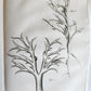 1759 MEDICAL TREATISE ILLUSTRATED ANATOMY by Francois PLANQUE antique V. 5