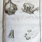 1759 MEDICAL TREATISE ILLUSTRATED ANATOMY by Francois PLANQUE antique V. 5