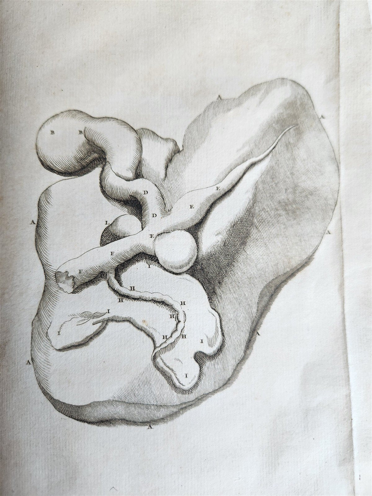 1759 MEDICAL TREATISE ILLUSTRATED ANATOMY by Francois PLANQUE antique V. 5