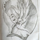 1759 MEDICAL TREATISE ILLUSTRATED ANATOMY by Francois PLANQUE antique V. 5
