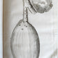 1759 MEDICAL TREATISE ILLUSTRATED ANATOMY by Francois PLANQUE antique V. 5