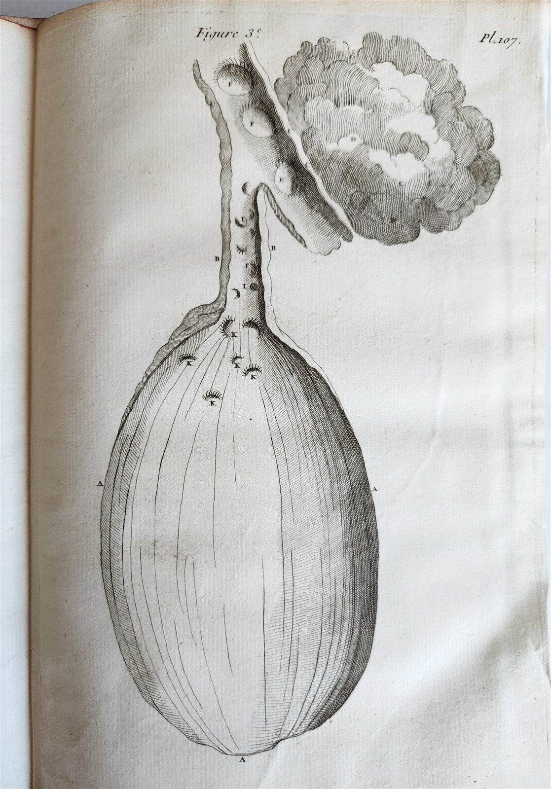 1759 MEDICAL TREATISE ILLUSTRATED ANATOMY by Francois PLANQUE antique V. 5