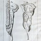 1749 MEDICAL TREATISE ILLUSTRATED ANATOMY by Francois PLANQUE antique V. 2