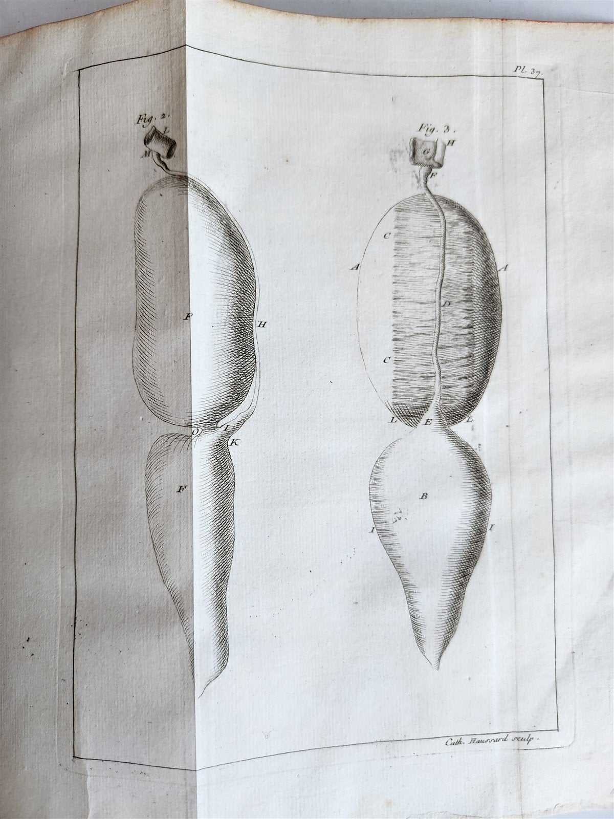 1749 MEDICAL TREATISE ILLUSTRATED ANATOMY by Francois PLANQUE antique V. 2