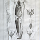 1749 MEDICAL TREATISE ILLUSTRATED ANATOMY by Francois PLANQUE antique V. 2