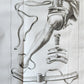 1749 MEDICAL TREATISE ILLUSTRATED ANATOMY by Francois PLANQUE antique V. 2