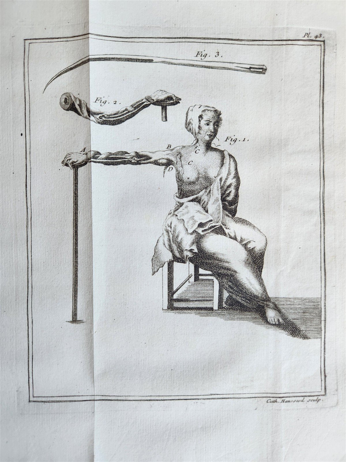 1749 MEDICAL TREATISE ILLUSTRATED ANATOMY by Francois PLANQUE antique V. 2