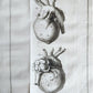 1749 MEDICAL TREATISE ILLUSTRATED ANATOMY by Francois PLANQUE antique V. 2