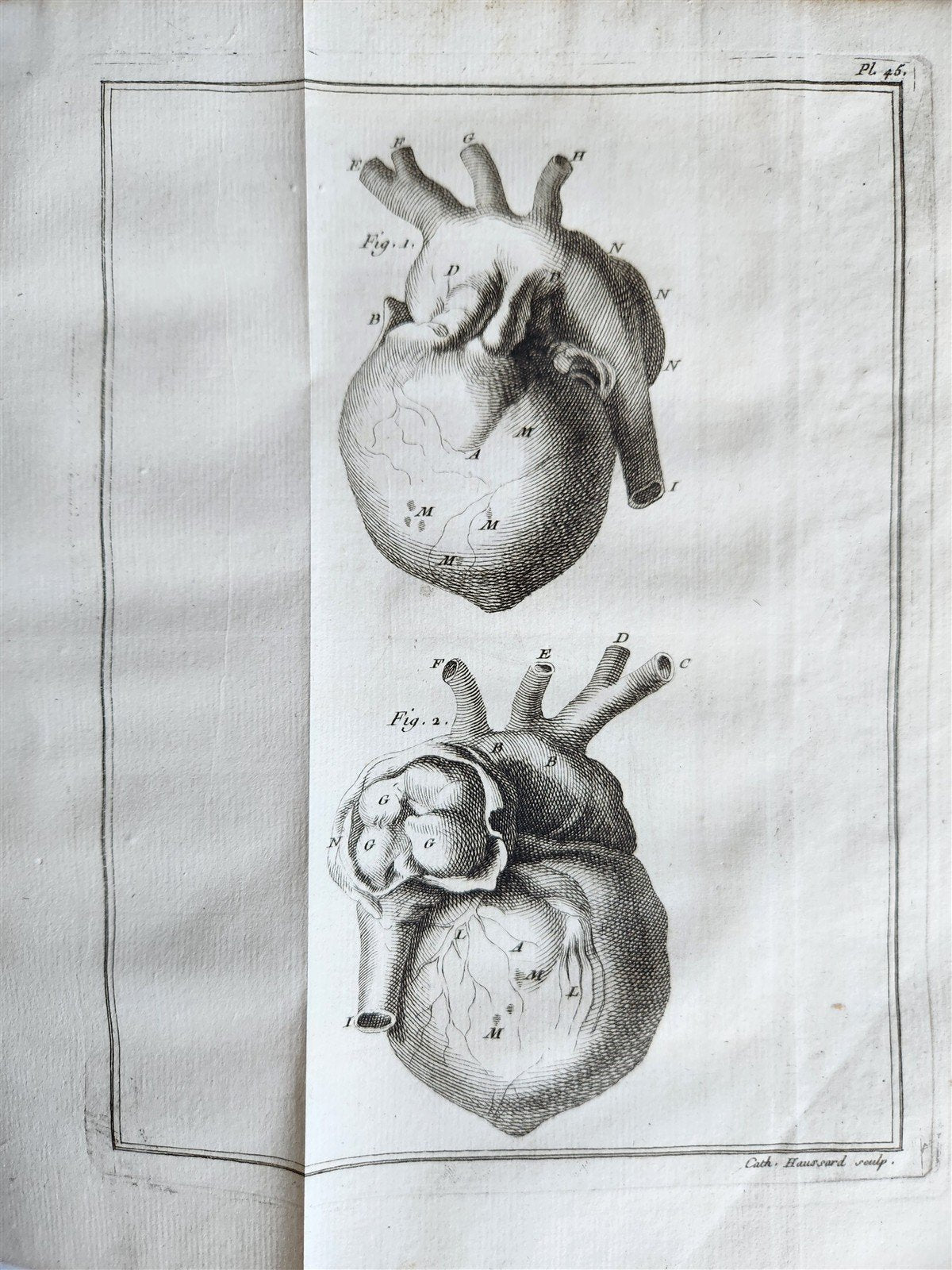 1749 MEDICAL TREATISE ILLUSTRATED ANATOMY by Francois PLANQUE antique V. 2