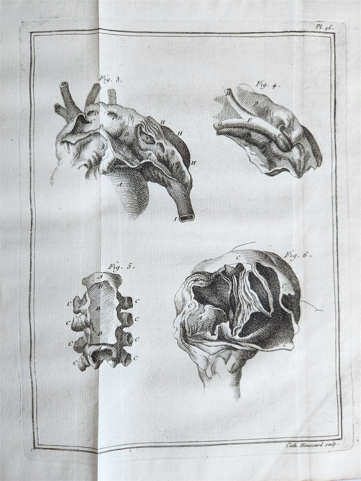 1749 MEDICAL TREATISE ILLUSTRATED ANATOMY by Francois PLANQUE antique V. 2