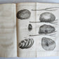 1749 MEDICAL TREATISE ILLUSTRATED ANATOMY by Francois PLANQUE antique V. 2