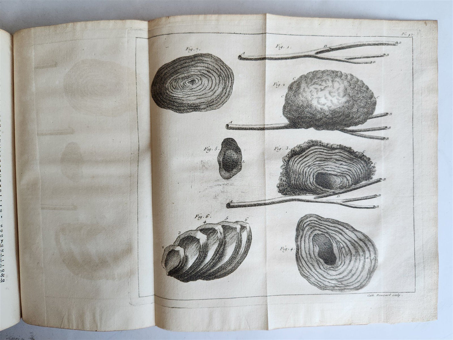 1749 MEDICAL TREATISE ILLUSTRATED ANATOMY by Francois PLANQUE antique V. 2
