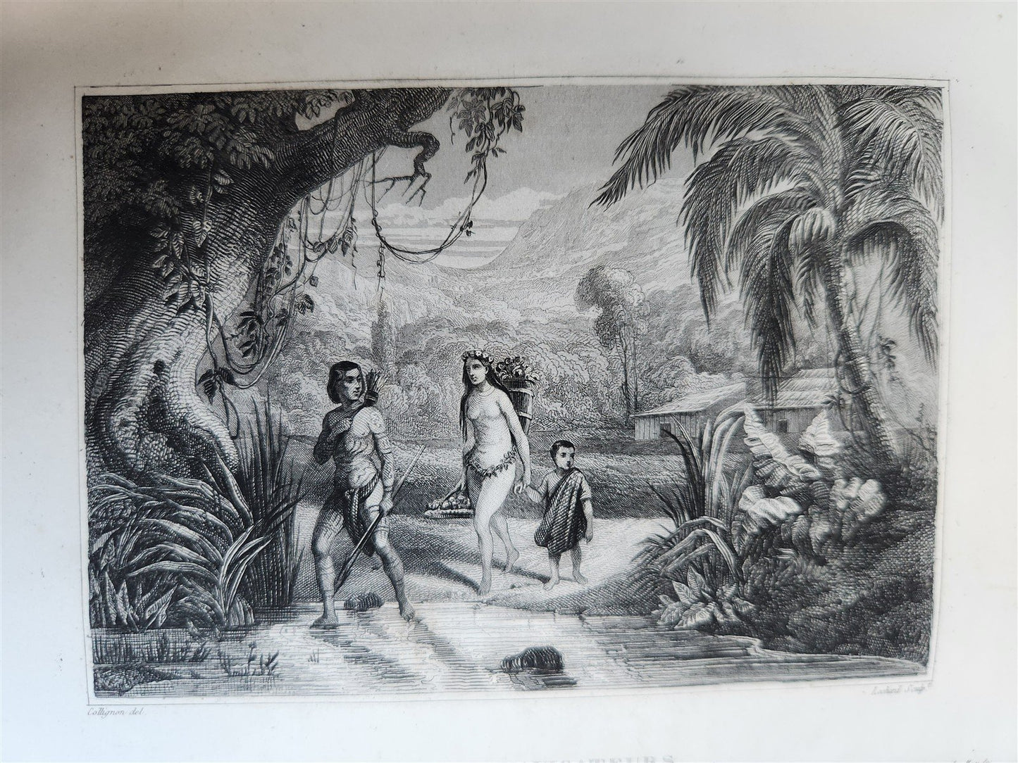 1843 TRAVELS to AMERICA CHINA INDIA 8 vols ILLUSTRATED antique in FRENCH