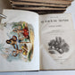 1843 TRAVELS to AMERICA CHINA INDIA 8 vols ILLUSTRATED antique in FRENCH