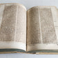 1710 THEOLOGY antique BLIND TOOLED PIGSKIN BINDING decorative