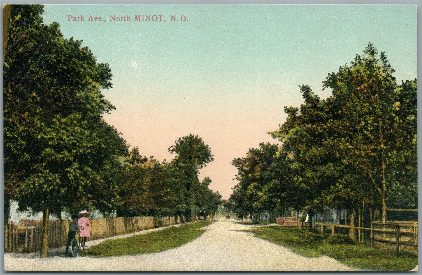 NORTH MINOT ND PARK AVENUE ANTIQUE POSTCARD