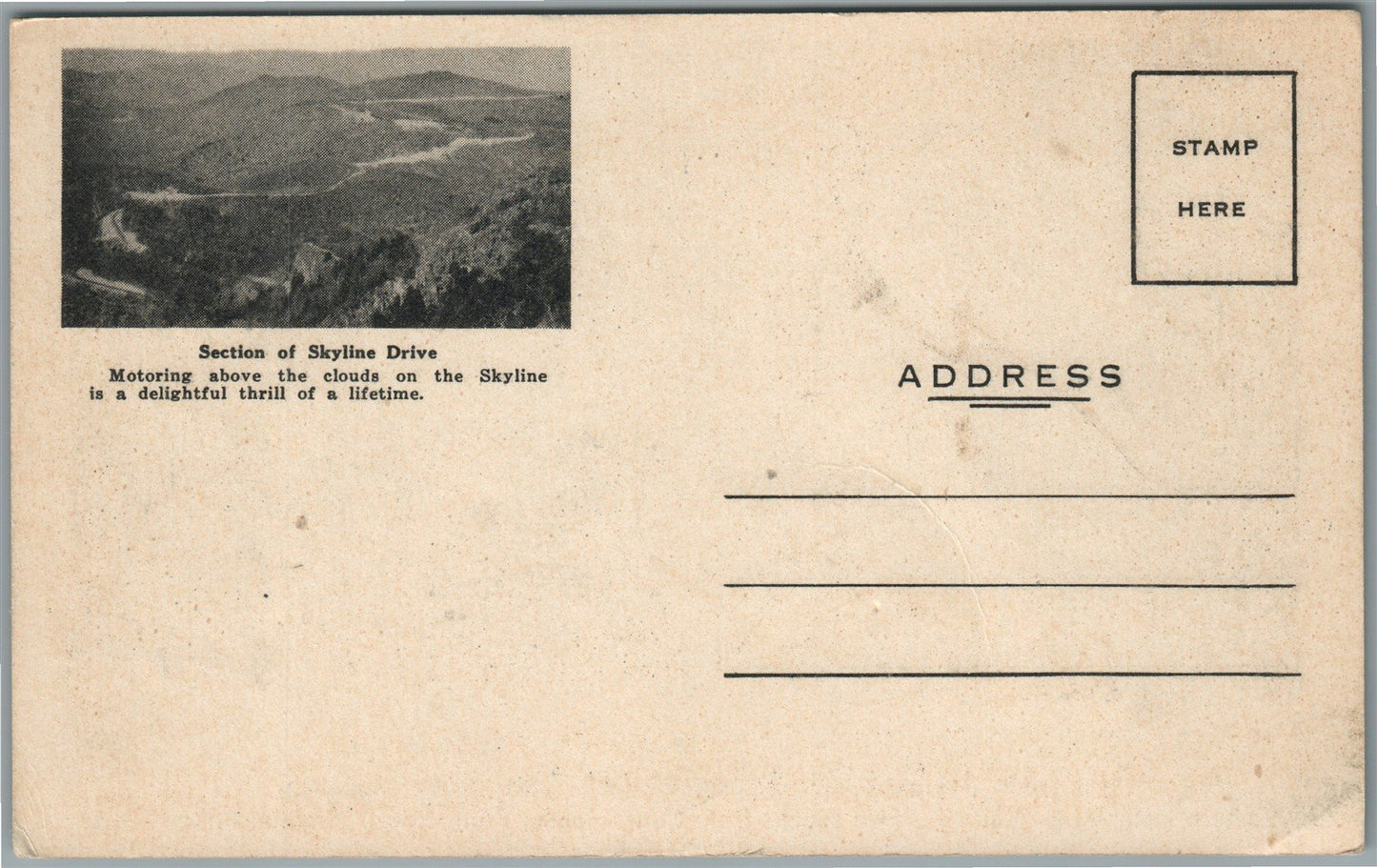 FRONT ROYAL VA NAYLOR TOURIST HOME ADVERTISING ANTIQUE POSTCARD