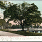 PORTSMOUTH VA DRIVEWAY TO US HOSPITAL GROUNDS ANTIQUE POSTCARD