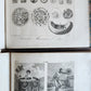 1817 VOYAGES 5 ATLAS VOLUMES antique ILLUSTRATED travels COOK ASIA TURKEY w/MAPS