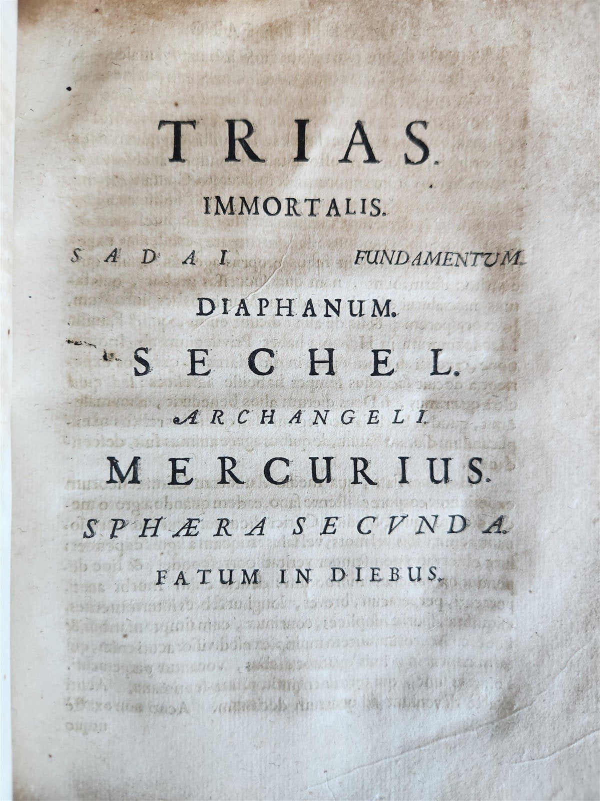 1665 ASTROLOGY HOROSCOPES antique ILLUSTRATED physiognomy chiromancy metoscopy