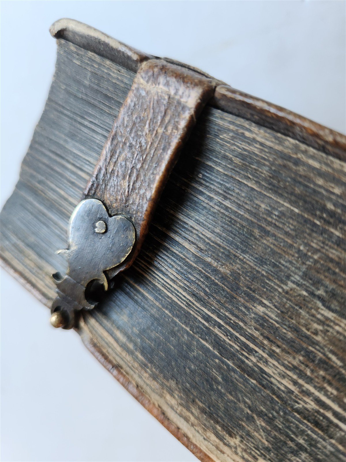 1650 PRAYER BOOK Vogler ILLUSTRATED antique DECORATIVE PIGSKIN BINDING w/ CLASPS