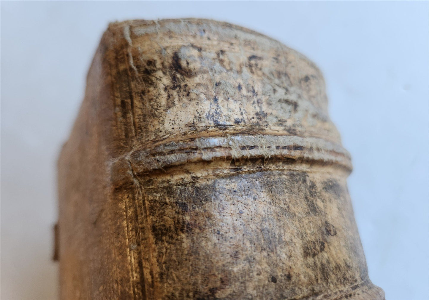 1567 CATECHISMUS ROMANUS antique PIGSKIN over WOOD BINDING 16th CENTURY