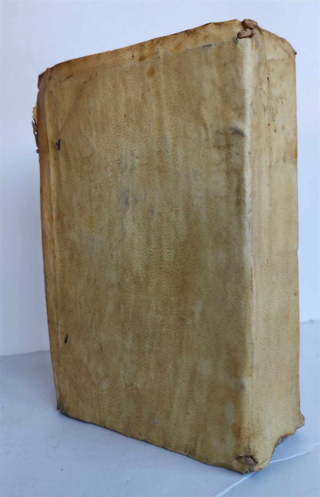 1578 WORK by JOHN CASSIAN antique VELLUM 16th CENTURY Monasticarum institutionum