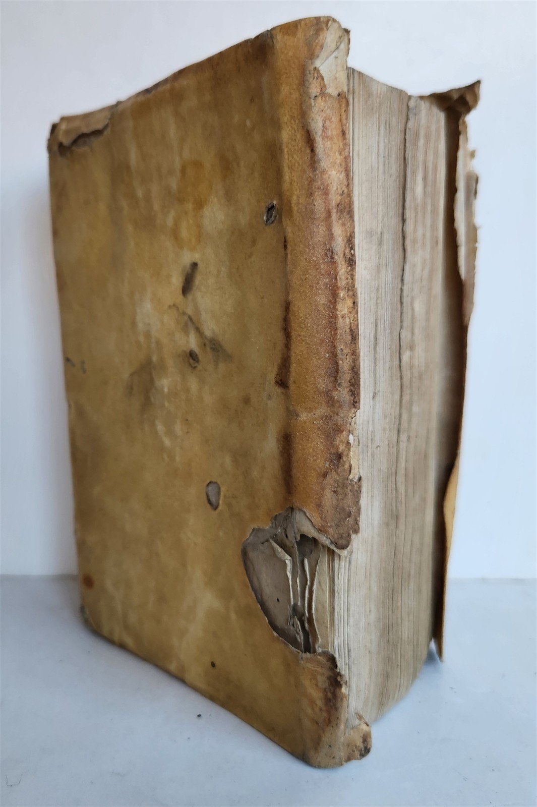 1578 WORK by JOHN CASSIAN antique VELLUM 16th CENTURY Monasticarum institutionum