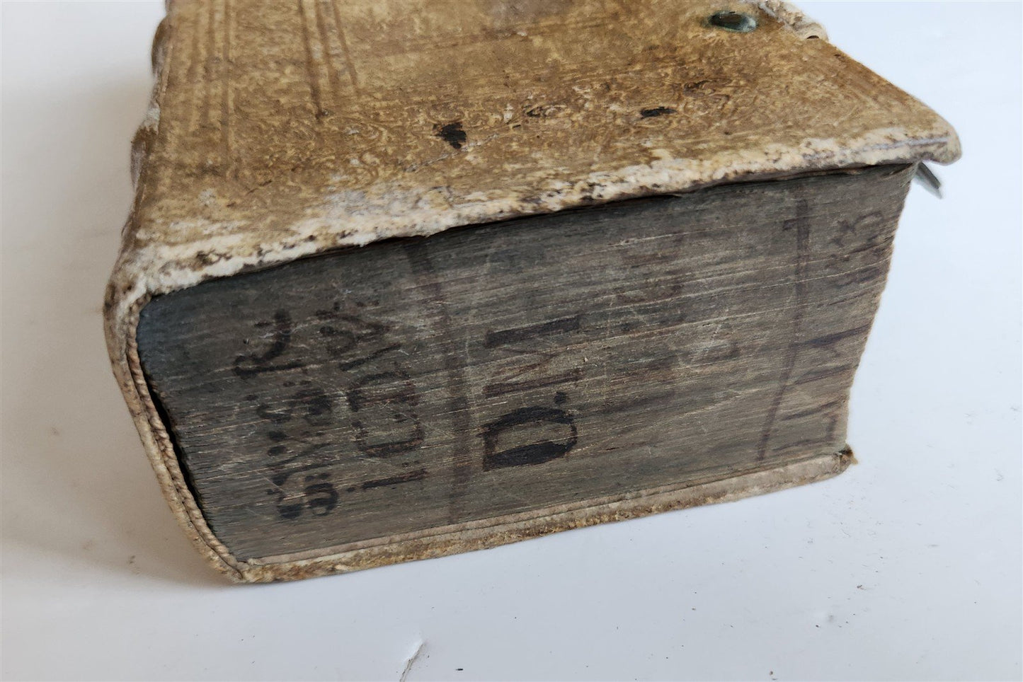 1691 Gradus ad Parnassum antique decorative PIGSKIN BINDING poetical dictionary