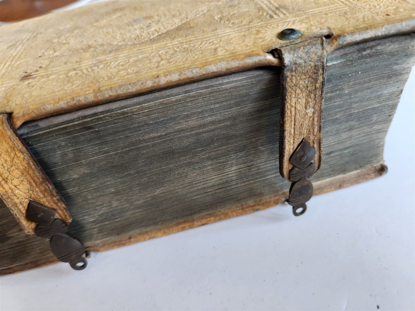 1680 ART & SCIENCE ENCYCLOPEDIA antique decorative PIGSKIN BINDING w/ CLASPS