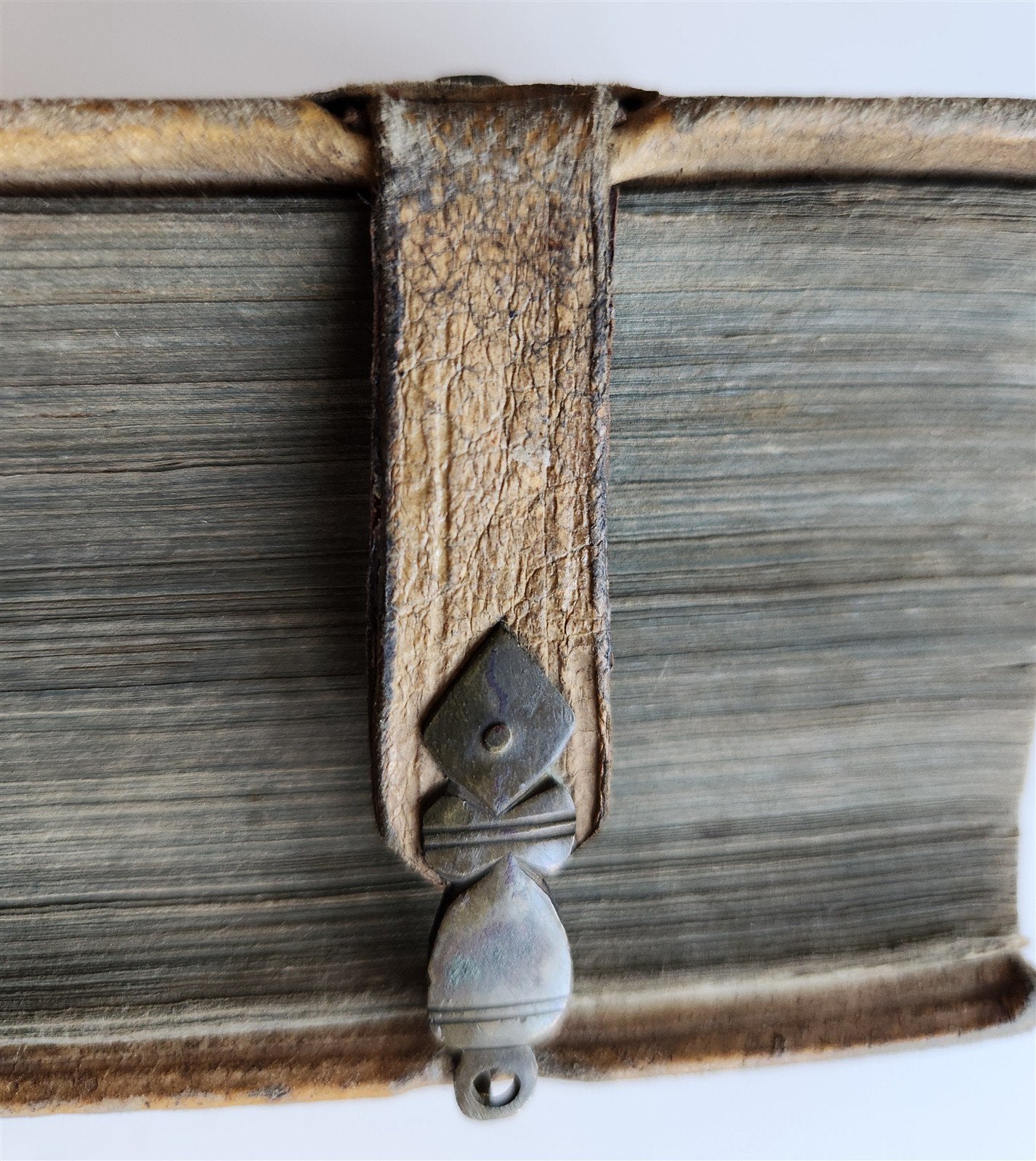 1680 ART & SCIENCE ENCYCLOPEDIA antique decorative PIGSKIN BINDING w/ CLASPS