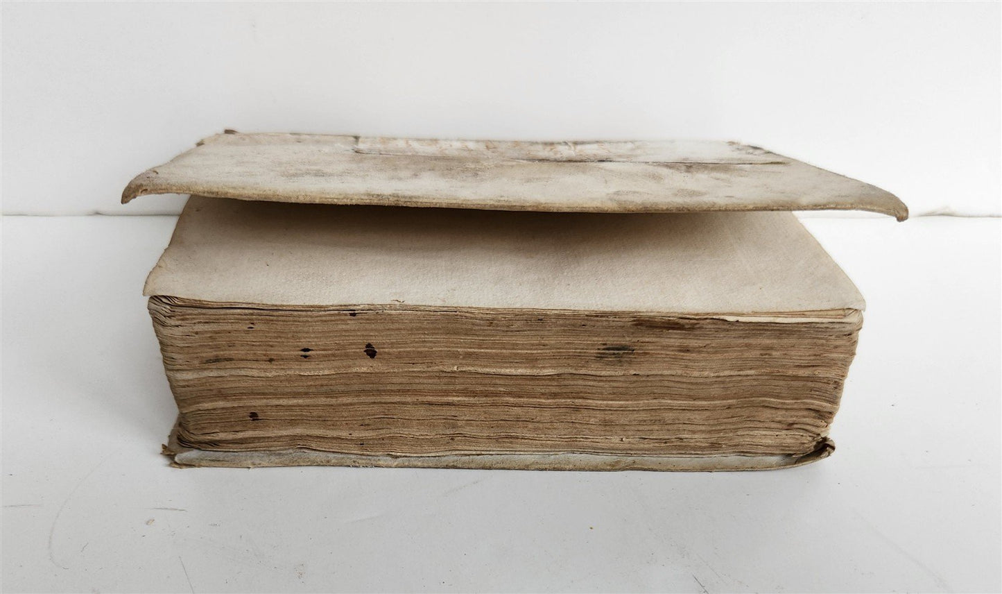 1566 ALDINE PRESS GREEK LANGUAGE GRAMMAR antique URBANUS BELLUNENSIS vellum