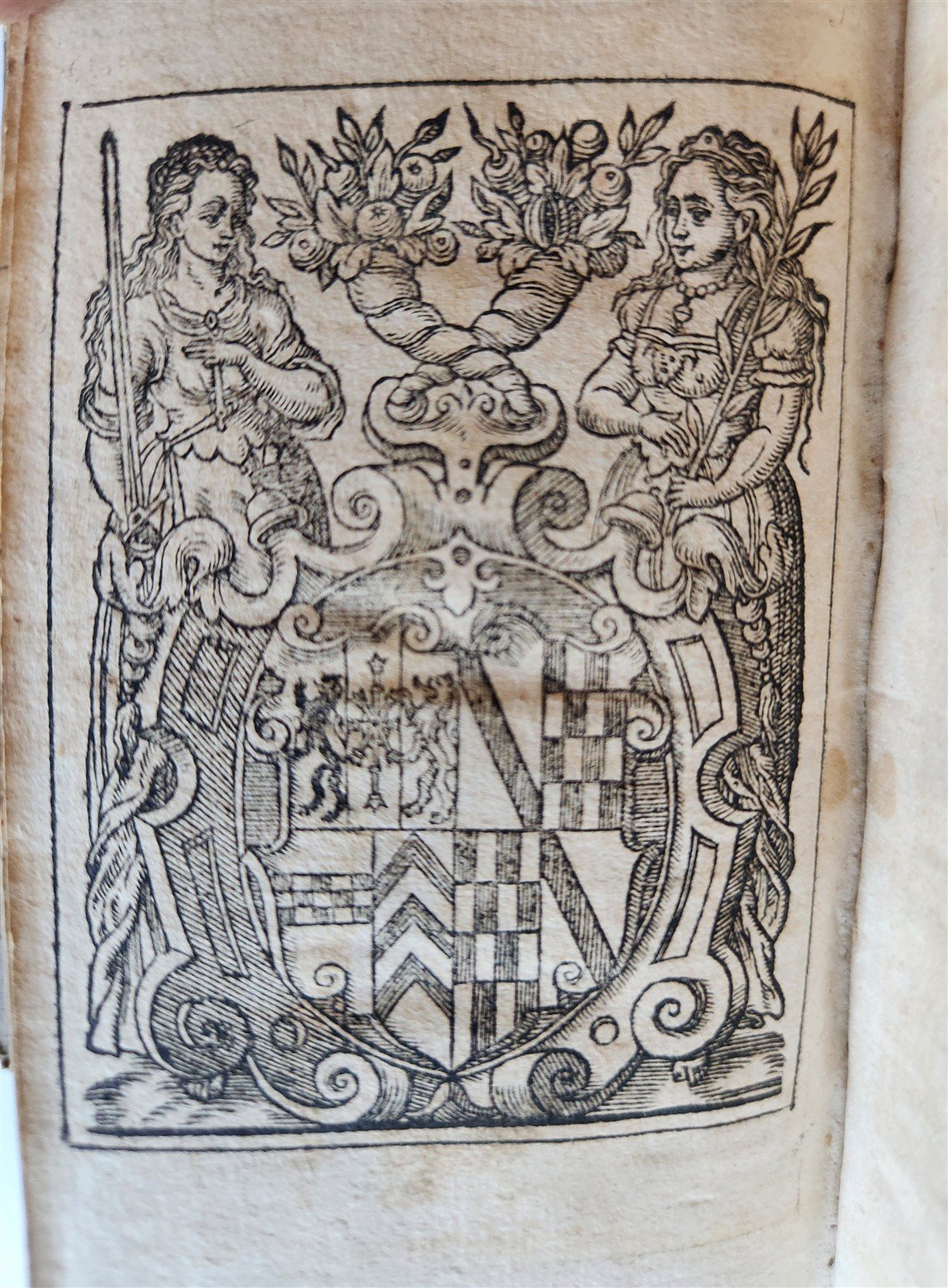 1589 CATECHISM in GERMAN by Michaelis Petrus antique PIGSKIN ILLUSTRATED 16th C.