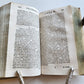 1730 Bibliotheca rhetorum in LATIN antique DECORATIVE PIGSKIN over WOOD BINDING