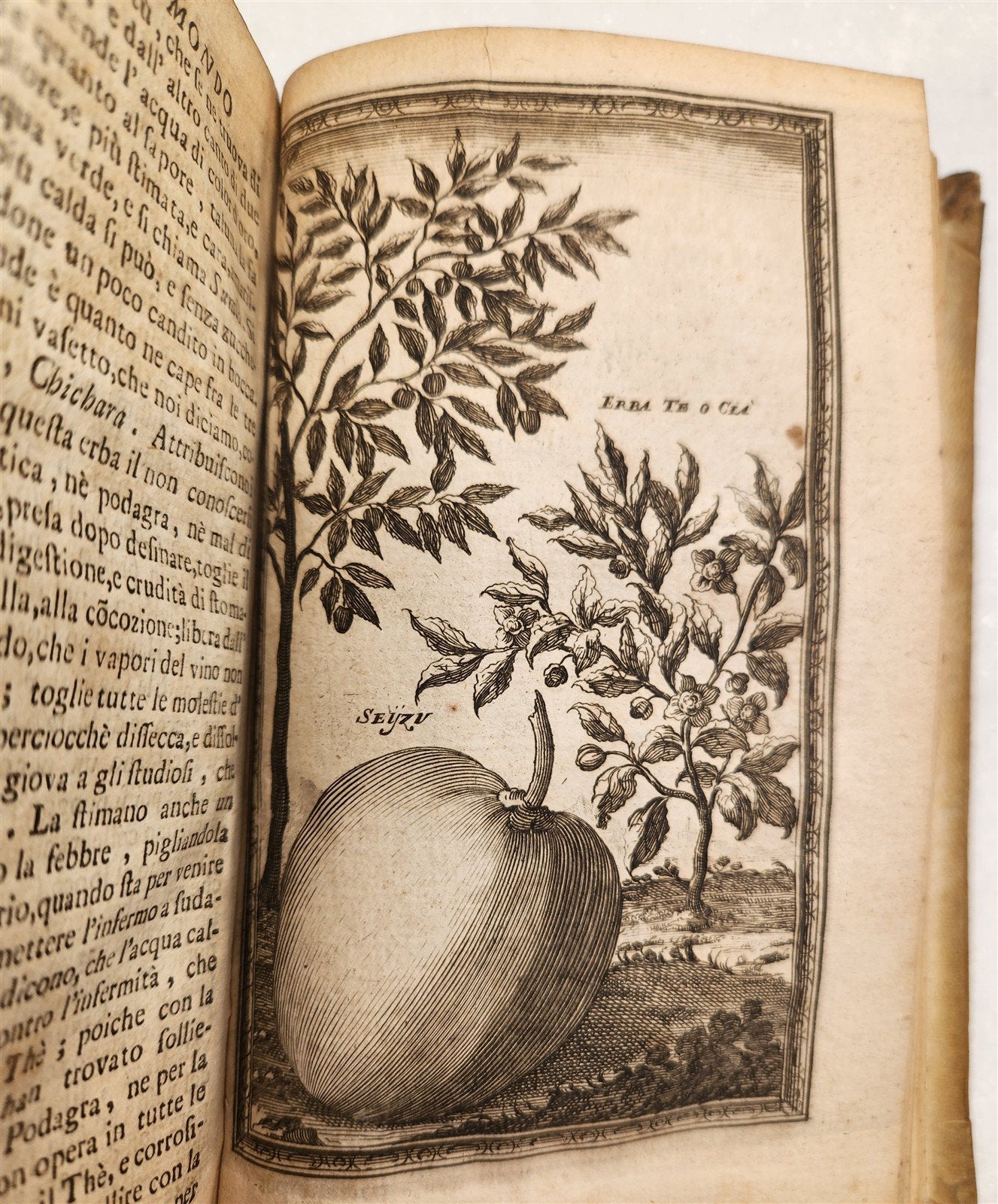 1721 TRAVELS to CHINA by Gio. Gemelli ILLUSTRATED antique VELLUM BINDING